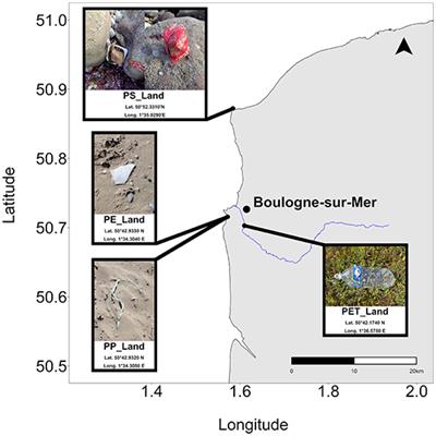 Relationship Between Particle Properties and Immunotoxicological Effects of Environmentally-Sourced Microplastics